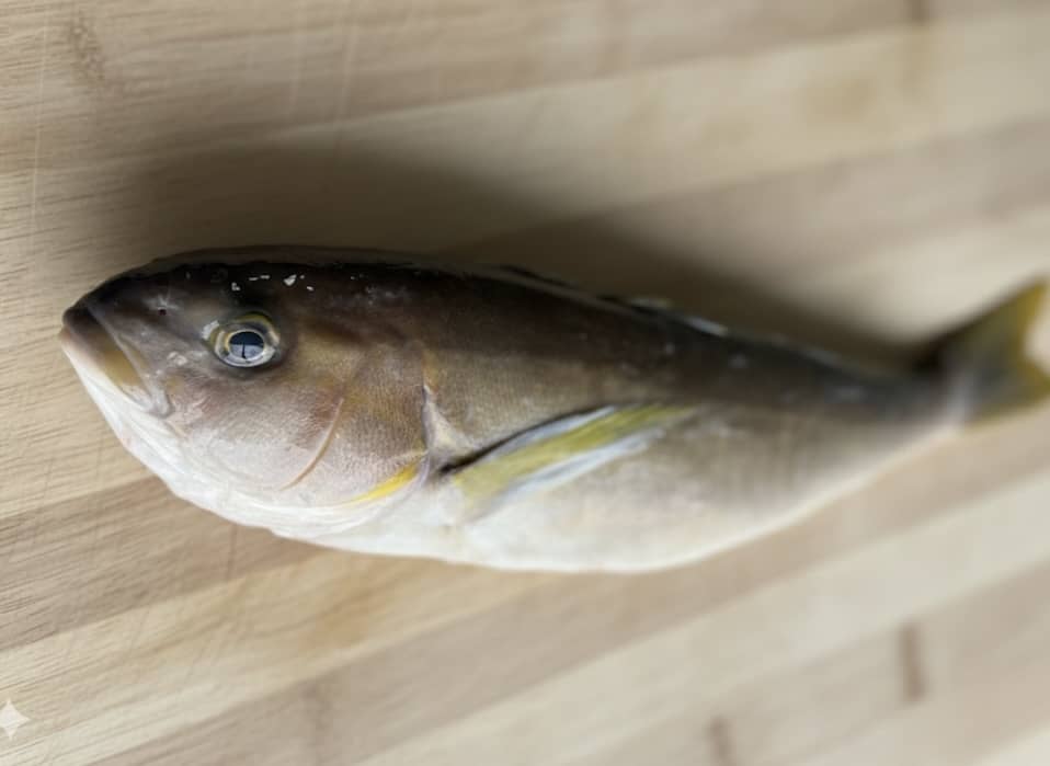 Blanco del Pacífico